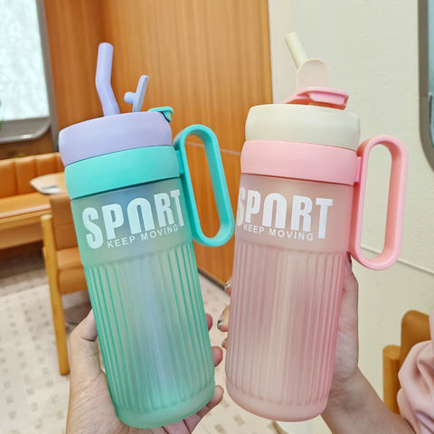 Frosted Large Capacity Portable Water Bottle with Handle & Straw | Summer Outdoor Sports Bottle with Tea Infuser